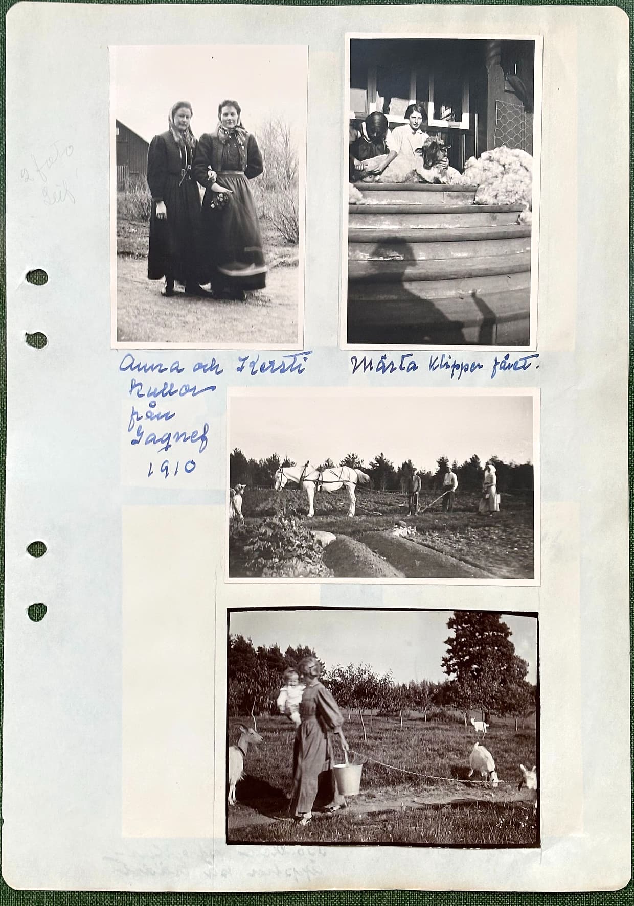 Fotograferad dagbokssida 167. Foto av två kvinnor med huvuddukar. Bildtext: 'Anna och Kersti, kullor från Gagnef 1910'. Foto av en kvinna som klipper ett får på en veranda, med ullhögar bredvid. Bildtext: 'Märta klipper fåret.'. Foto av ett par hästar med plog och två personer på ett fält. Foto av en kvinna med ett barn på armen och en hink, omgiven av getter.