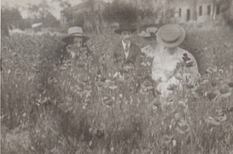 Stella, d’Amerini, Märta och Anna Åkerdahl i ett fält med blommande röda vallmor på Lido, 1906.